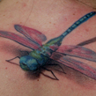 dragonfly.JPG