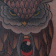 owl1.JPG